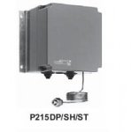 P215DP/SH/STL(fng)C(j)ٶȿ